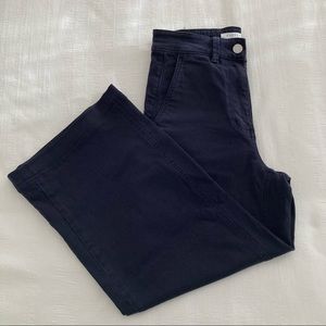 Everlane Wide Leg Pants